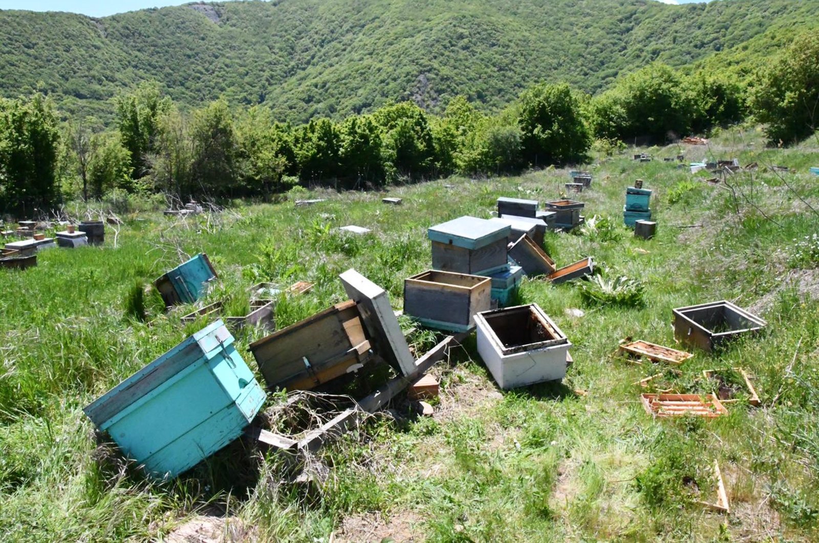 View of hives torn apart, overturned at the site of the project, in Tekirdağ, northwestern Turkey, May 12, 2022. (DHA PHOTO) 