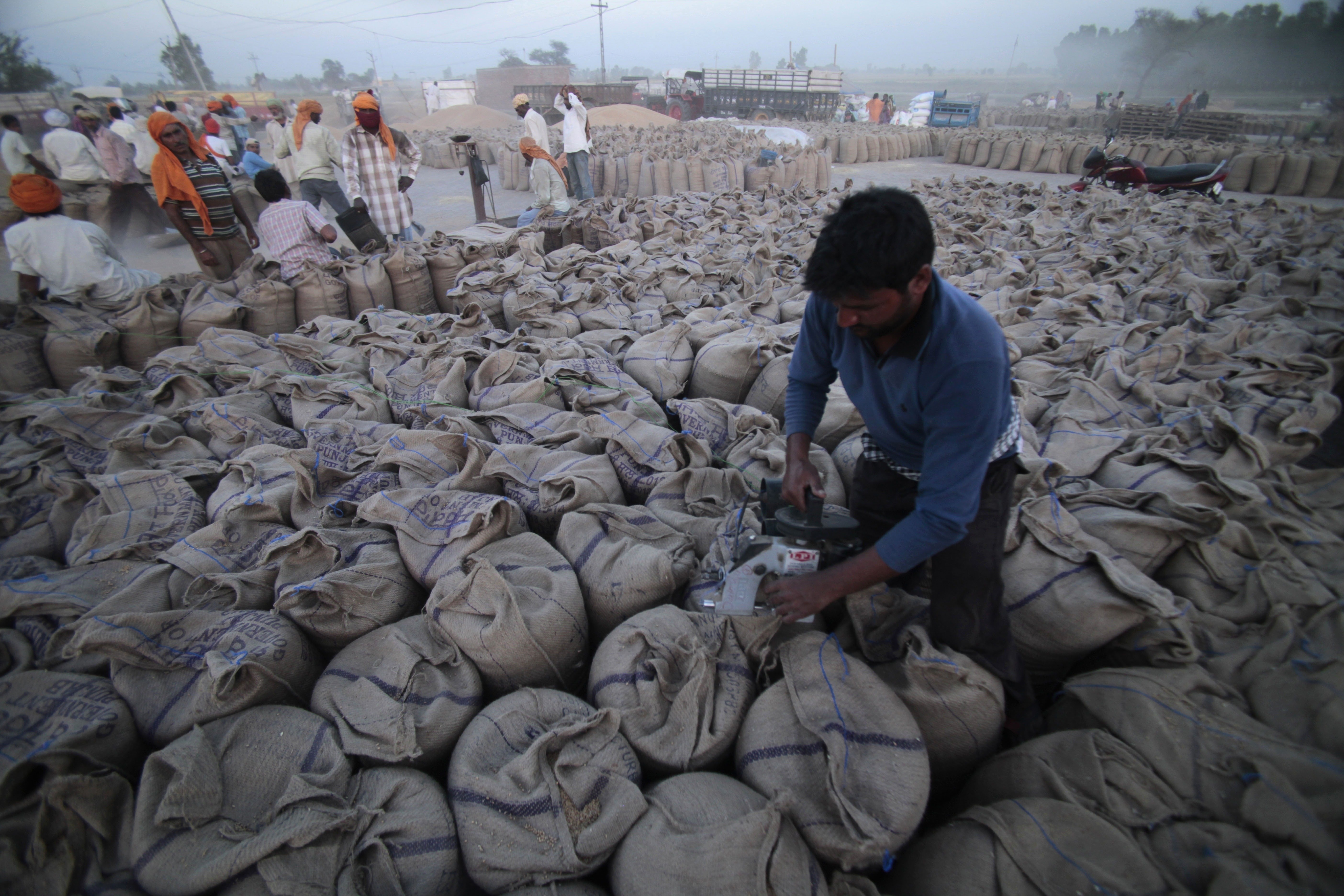A laborer seals sacks filled with wheat in Gurdaspur, in the northern Indian state of Punjab, April 30, 2014. (AP Photo)