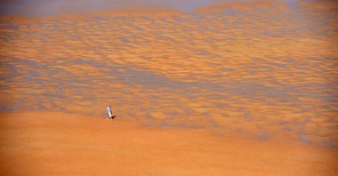 A man walks on the beach of "La Plage des Basques" under hot weather in Biarritz, southwestern France, May 17, 2022. (AFP Photo)