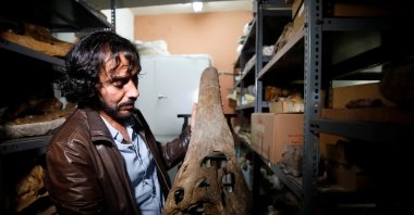 Rodolfo Salas-Gismondi, founder and director of the paleontology department at the Museum of Natural History of the Universidad Nacional Mayor de San Marcos, shows the fossil remains of a crocodile that inhabited the planet 7 million years ago, giving scientists clues about how modern-day crocodiles, who live in freshwater ecosystems, moved from the sea, in Lima, Peru, May 16, 2022. (Reuters Photo)