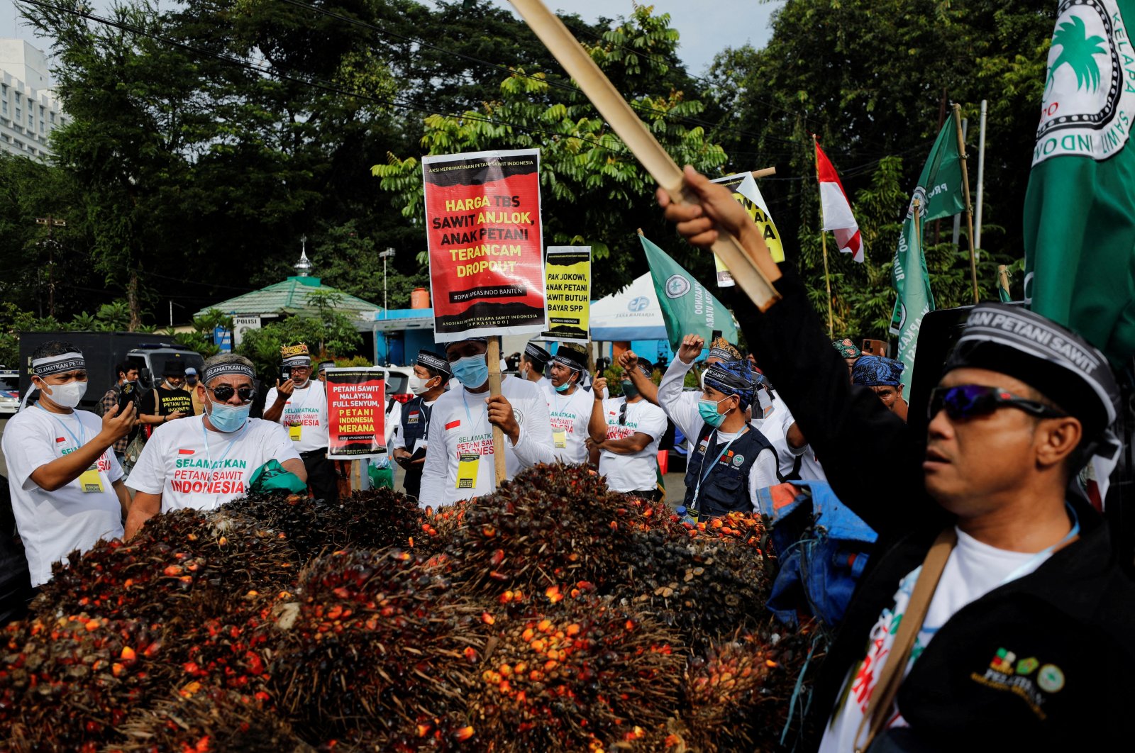 Indonesian palm oil farmers take part in a protest demanding the government to end the palm oil export ban, outside the Coordinating Ministry of Economic Affairs office, in Jakarta, Indonesia, May 17, 2022. (Reuters Photo)