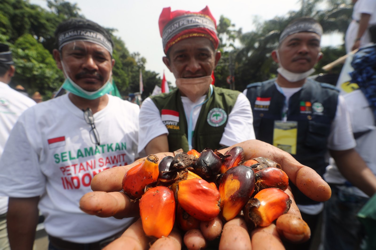 An Indonesian activist holds palm fruits during a protest in Jakarta, Indonesia, May 17, 2022. Hundreds of Indonesian palm farmers staged protests to urge the Indonesian goverment to grant permision for the export of crude palm oil (CPO) to aid farmers. (EPA Photo)