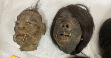 "Tsantas," or "shrunken" heads, believed to be from Peru and confiscated by authorities in December 2021 are cataloged in a police station in, Izmir, Turkey, May 20, 2022. (AA Photo)