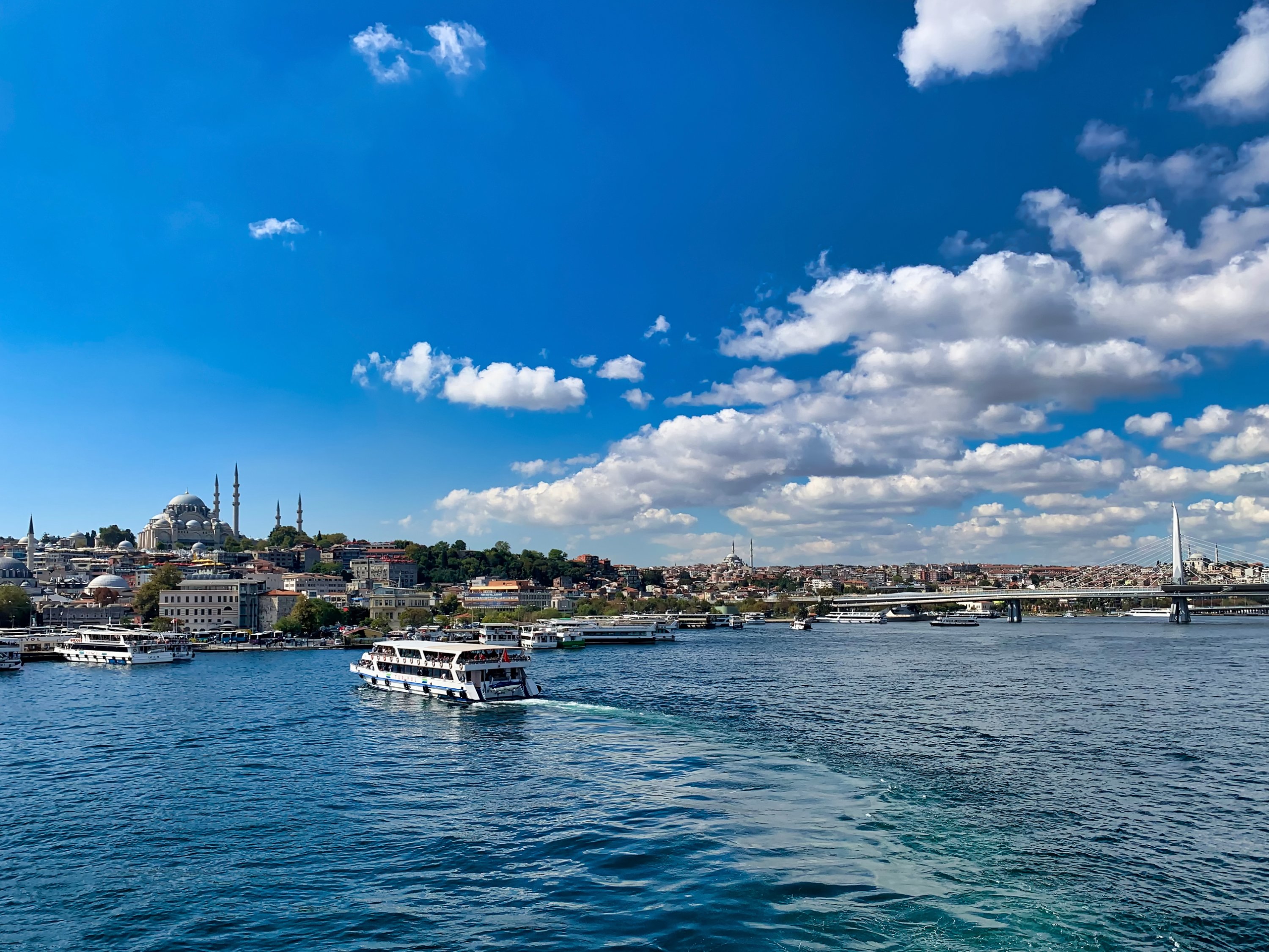 Vanished marine life returns to Turkey’s preserved Marmara Sea