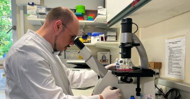 Head of the Institute of Microbiology of the German Armed Forces Roman Woelfel works in his laboratory after Germany detected its first case of monkeypox, Munich, Germany, May  20, 2022. (Reuters Photo)