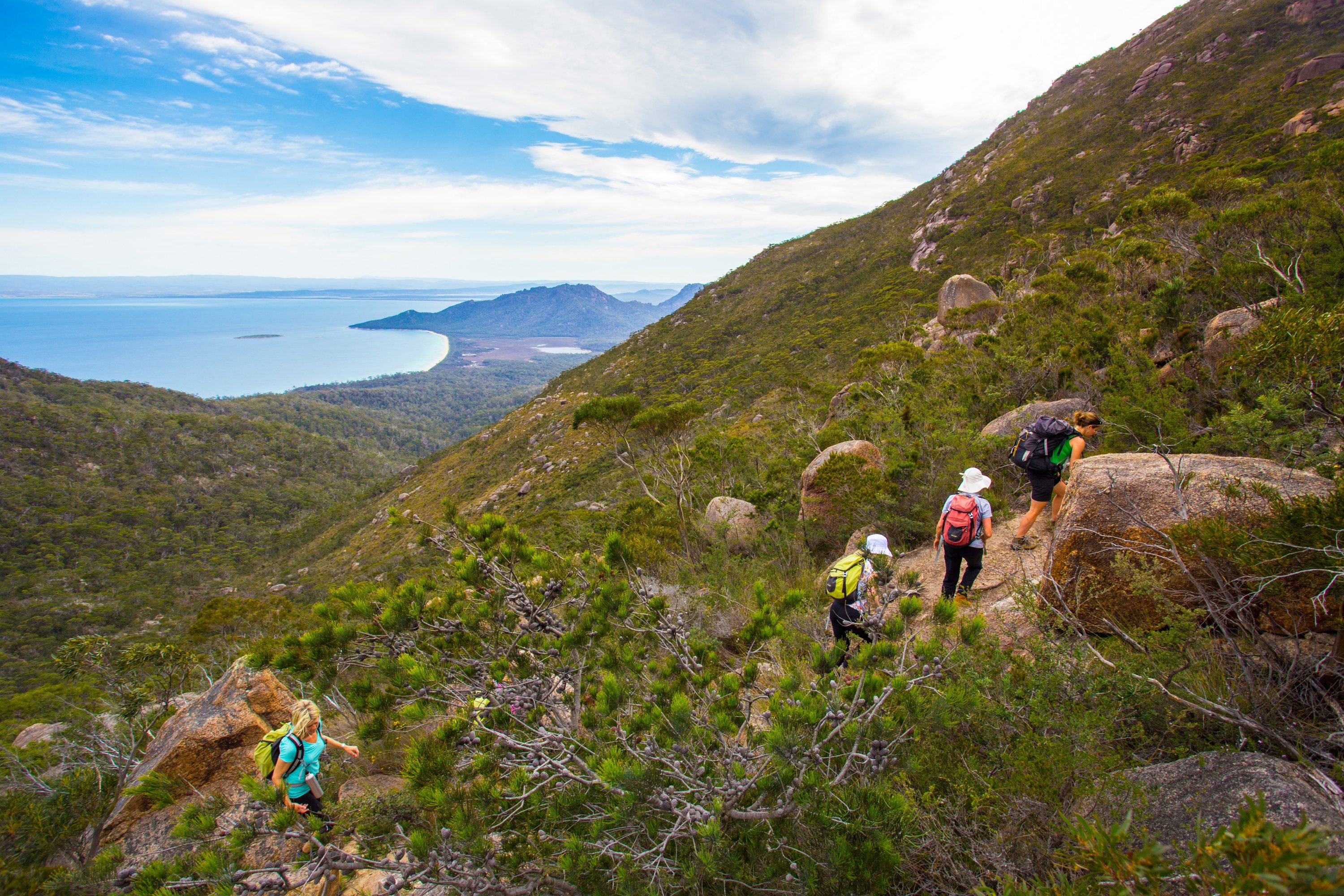 Freycinet Experience Walk adalah tur empat hari yang memungkinkan Anda menemukan garis pantai liar Tasmania dari dekat, Tasmania, Australia, 9 November 2014. (Foto DPA)