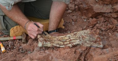A paleontologist works on the excavation of bones and fossils that belonged to a newly discovered species of pterosaurs, Thanatosdrakon Amaru, in Agua del Padrillo, Mendoza, Argentina, Aug. 9, 2012. This picture was taken on Aug. 9, 2012. (Leonardo Ortiz David-Universidad de Cuyo/Handout via Reuters)