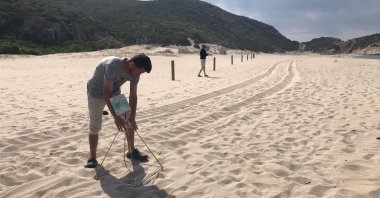 Volunteers erect signs for warning beachgoers, in Patara beach, in Antalya, southern Turkey, May 25, 2022. (DHA PHOTO) 