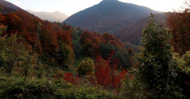 In this undated file photo, a view from the Sharr Mountains National Park is seen, near Prizren, southern Kosovo. (Photo by Shutterstock)