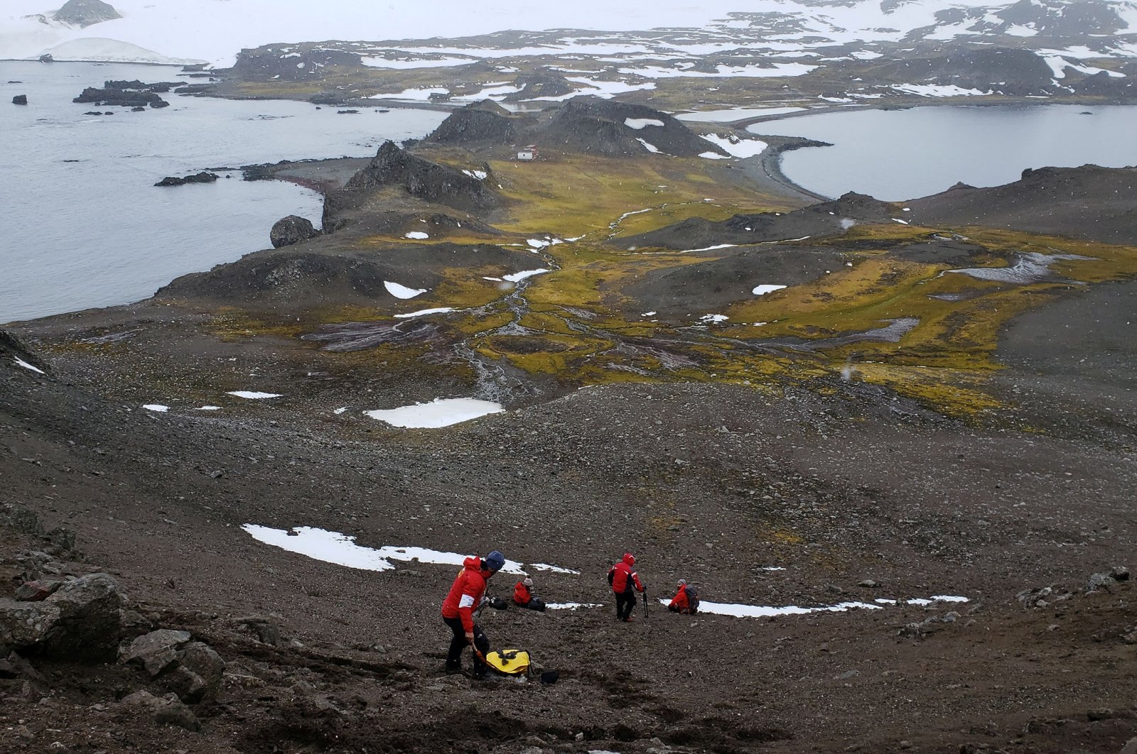 Scientists from the University of Chile collect organic material as they look for a bacteria discovered in Antarctica, Jan. 13, 2019. (Reuters Photo)