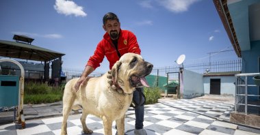 Breeder Nevzat Tunçbeden poses with an Aksaray Malaklısı, in Aksaray, central Turkey, May 27, 2022. (AA PHOTO) 