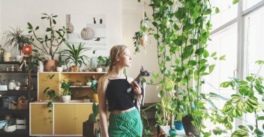 From cleaner air to creative decor, there are many benefits of having indoor plants in your place. (Shutterstock) 