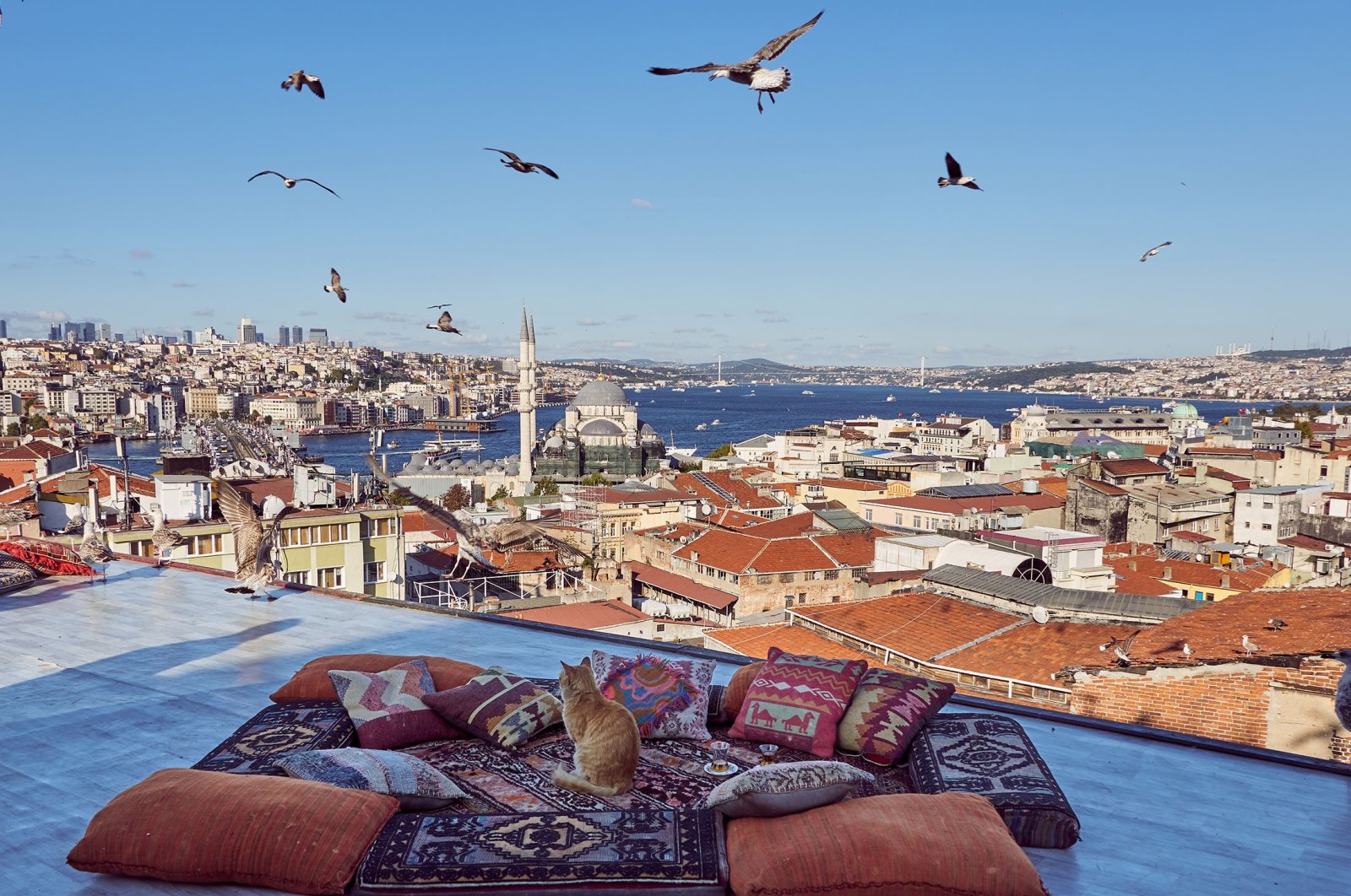 Istanbul is the third most Instagrammable city in the world with over 125 million hashtags for travel locations in the intersection of continents. (Shutterstock Photo)
