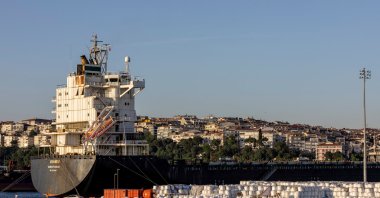 A container ship docked at Haydarpaşa port in Istanbul, Turkey, May 27, 2022. (Reuters Photo)