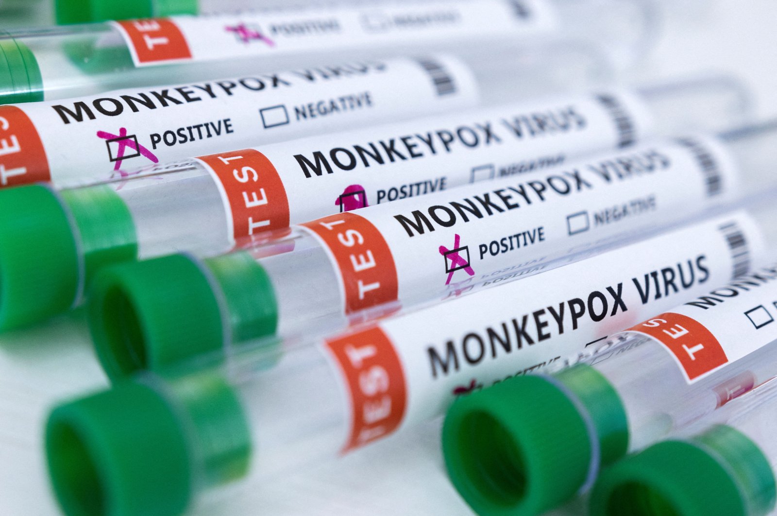 Test tubes labeled &quot;monkeypox virus positive and negative&quot; are seen in this illustration taken May 23, 2022. (Reuters Photo)