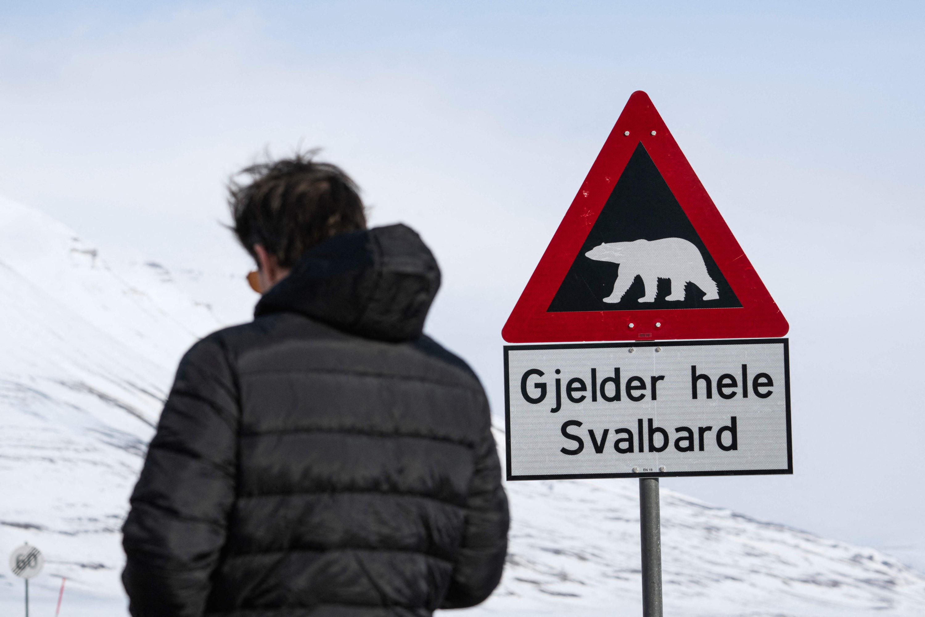Seorang pria digambarkan berdiri di sebelah tanda peringatan yang menggambarkan beruang kutub di sisi jalan dekat Longyearbyen di Kepulauan Svalbard, Norwegia utara, 2 Mei 2022. (AFP Photo)