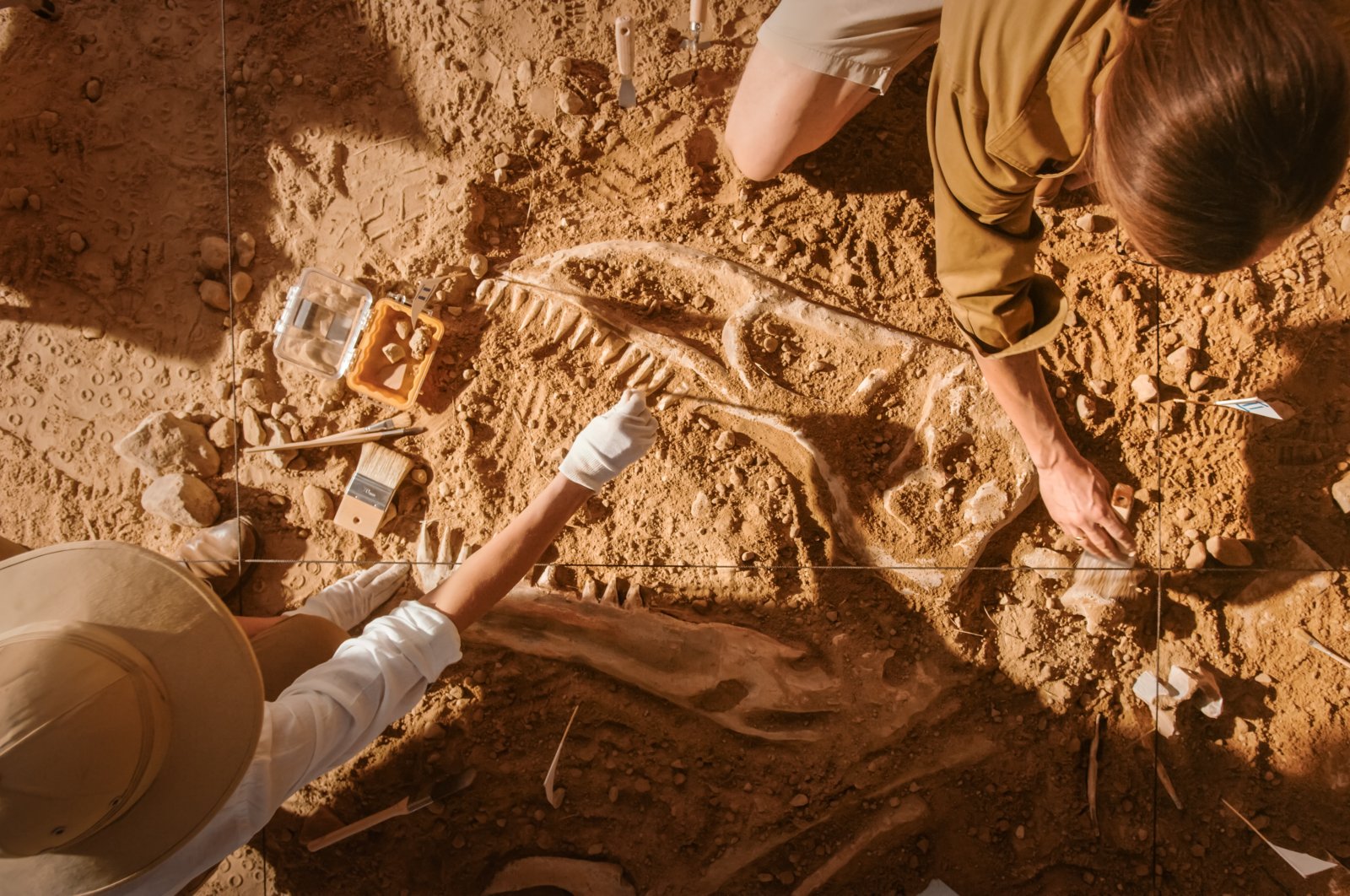 Hari Arkeologi Turki-Eropa untuk menunjukkan penelitian penggalian di belakang panggung
