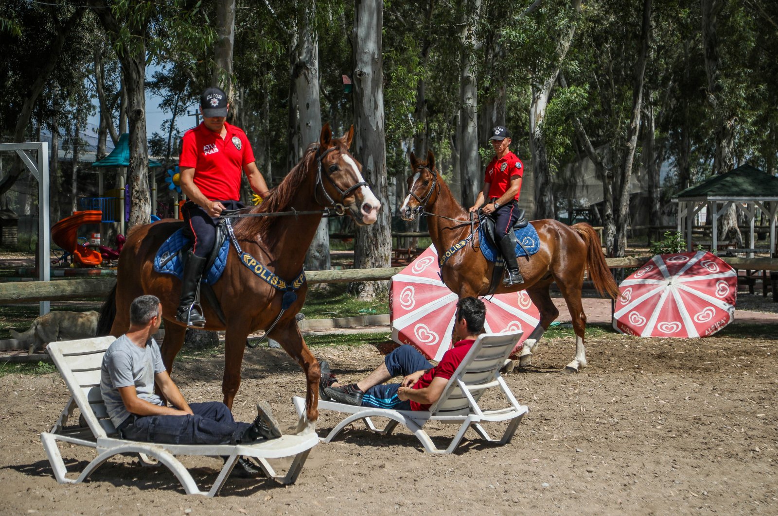 Pelatihan pantai yang ketat untuk kuda polisi kota resor Turki