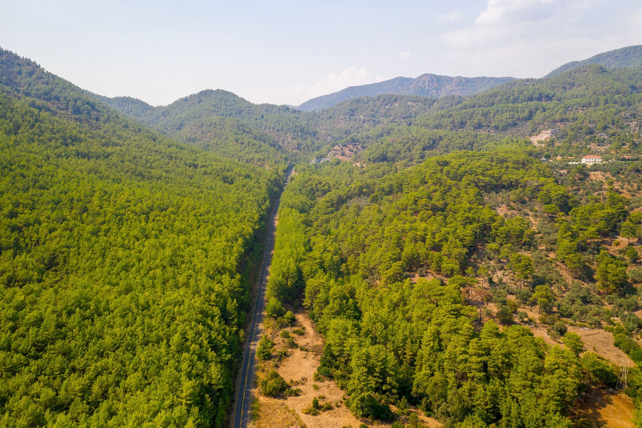 Desa-desa di sekitar Muğla's Köyceğiz telah mulai dihuni oleh para petani generasi pertama dari produk-produk pengrajin khusus.  (Foto Shutterstock)