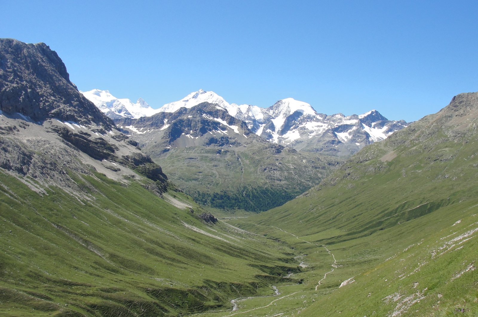The Val da Fain Valley near Piz Bernina, Switzerland, Aug. 17, 2014. (University of Basel via AFP)