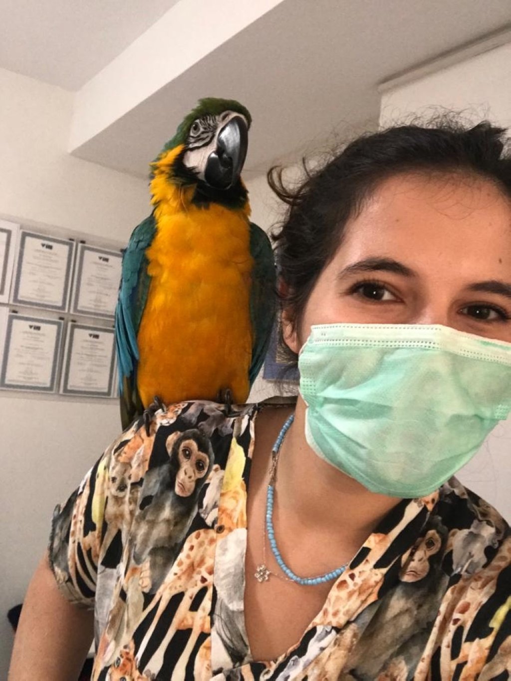 Merve Siirtli, a veterinarian at the exotic animal hospital, with a Jaco parrot, Istanbul, Turkey. (Photo courtesy of hospital)