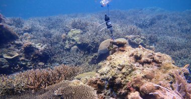 A hydrophone that is used to record underwater soundscape is placed on a reef in the sea of the Spermonde archipelago, South Sulawesi province, Indonesia, Aug. 30, 2018.  (Reuters Photo)