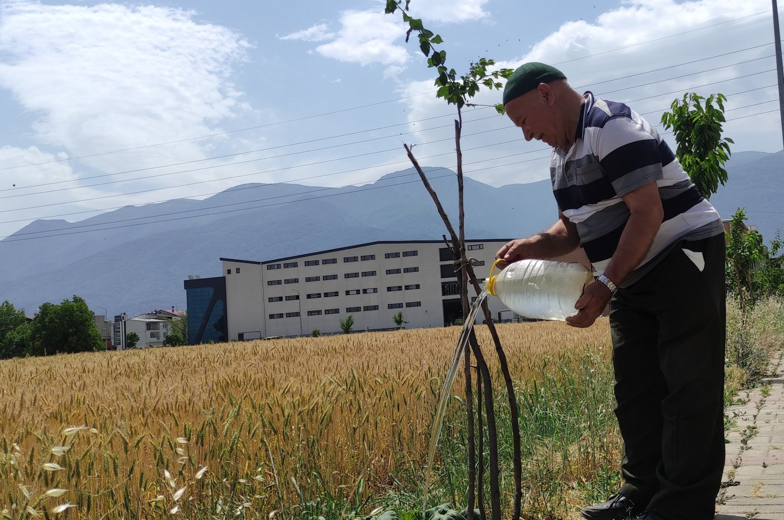 Pria Turki mengabdikan hidup untuk menanam pohon buah-buahan gratis
