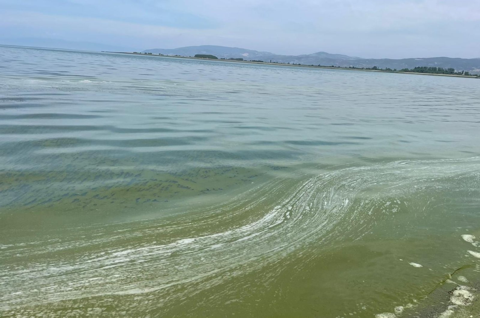 Danau Iznik Turki menghadapi ancaman bakteri
