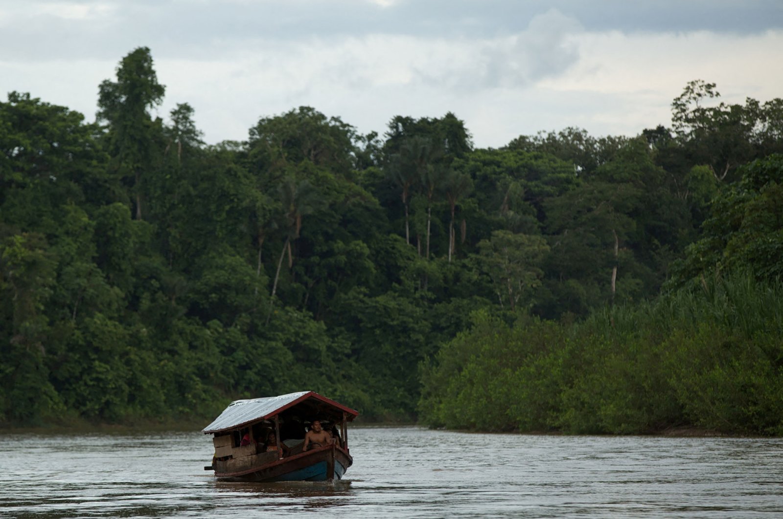Cari jurnalis Inggris, pakar Pribumi yang hilang di Amazon yang lebat