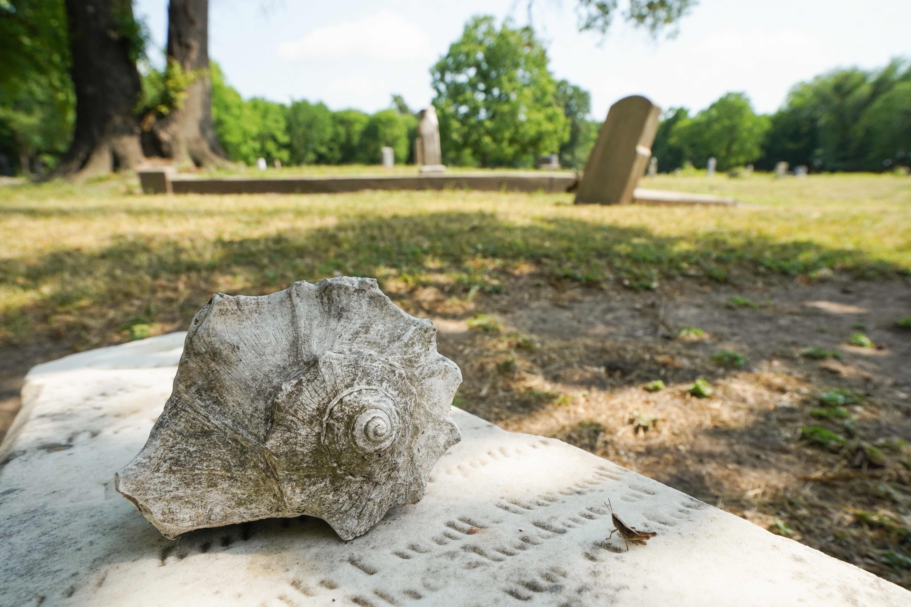Sebuah cangkang yang mewakili spiritualitas budak dari Afrika duduk di atas batu nisan di Olivewood Cemetery di Houston, Texas, AS, 21 Mei 2022. (AFP Photo)