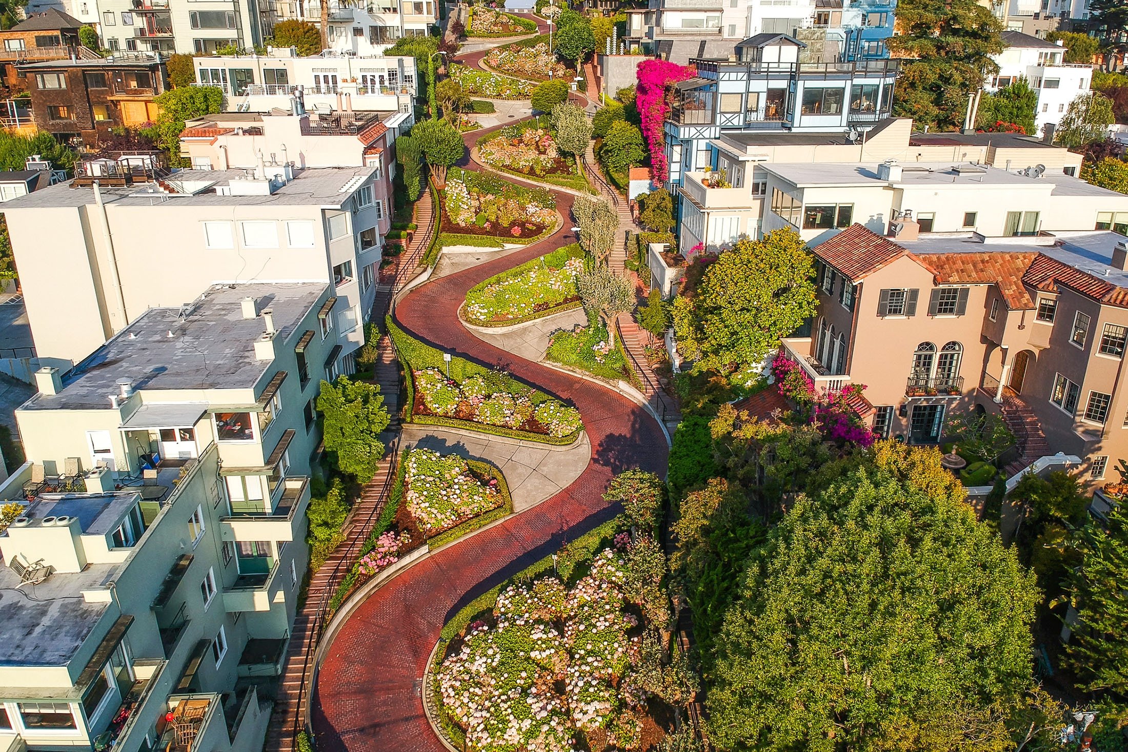 Lombard Street adalah sebuah jalan di San Francisco, California, yang terkenal dengan tikungan tajamnya.  (Foto Shutterstock)