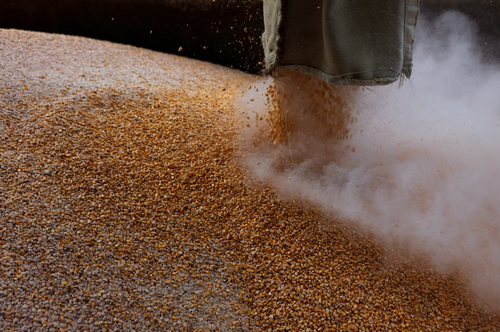 Grain is loaded on a truck at the Mlybor flour mill facility in Chernihiv region, Ukraine, May 24, 2022. (Reuters Photo)