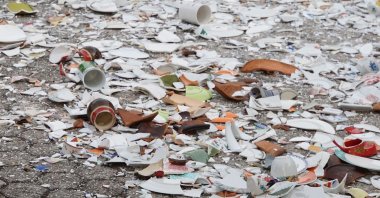 In Germany, a wedding shower is generally held the day before a bride and groom are due to wed where friends and family gather and smash things on the floor such as plates. (Shutterstock Photo)