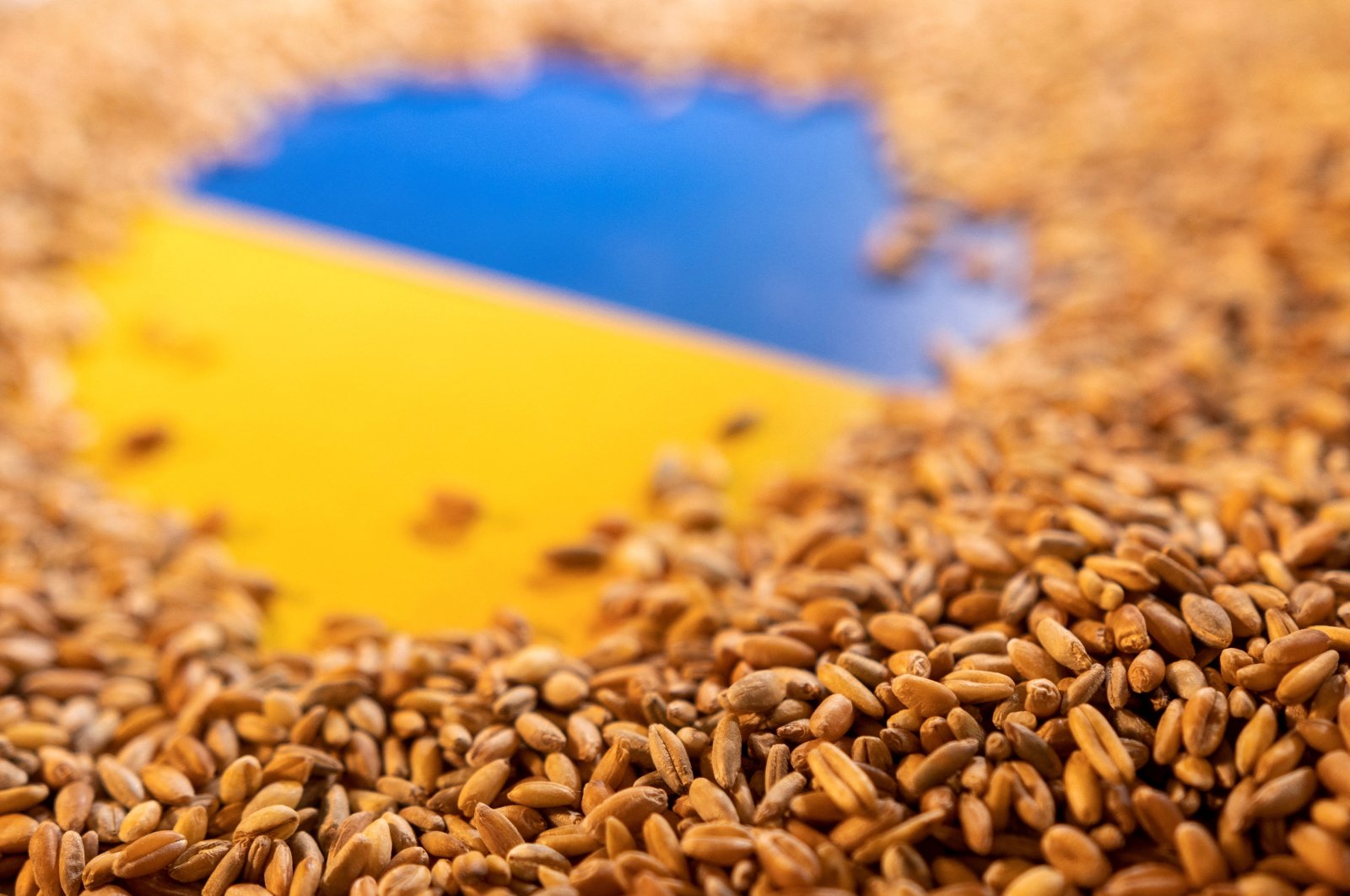 The Ukrainian flag is covered with grains in this picture illustration taken on May 9, 2022. (Reuters Photo)