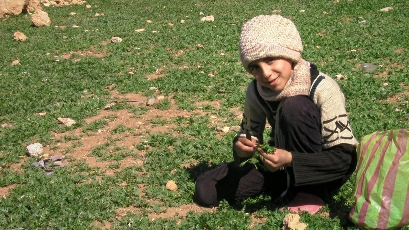 Bidikan diam dari “Little Palestine.”  (Courtesy of Documentaris) 