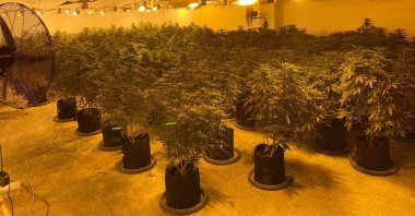 View of a secret cannabis production facility raided by police, in Manisa, western Turkey, June 10, 2022. (AA PHOTO)