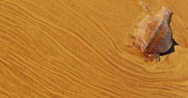 A dead turtle floats on a pool of oil from the Deepwater Horizon spill in Barataria Bay off the coast of Louisiana, U.S., June, 7, 2010.  (AP Photo)