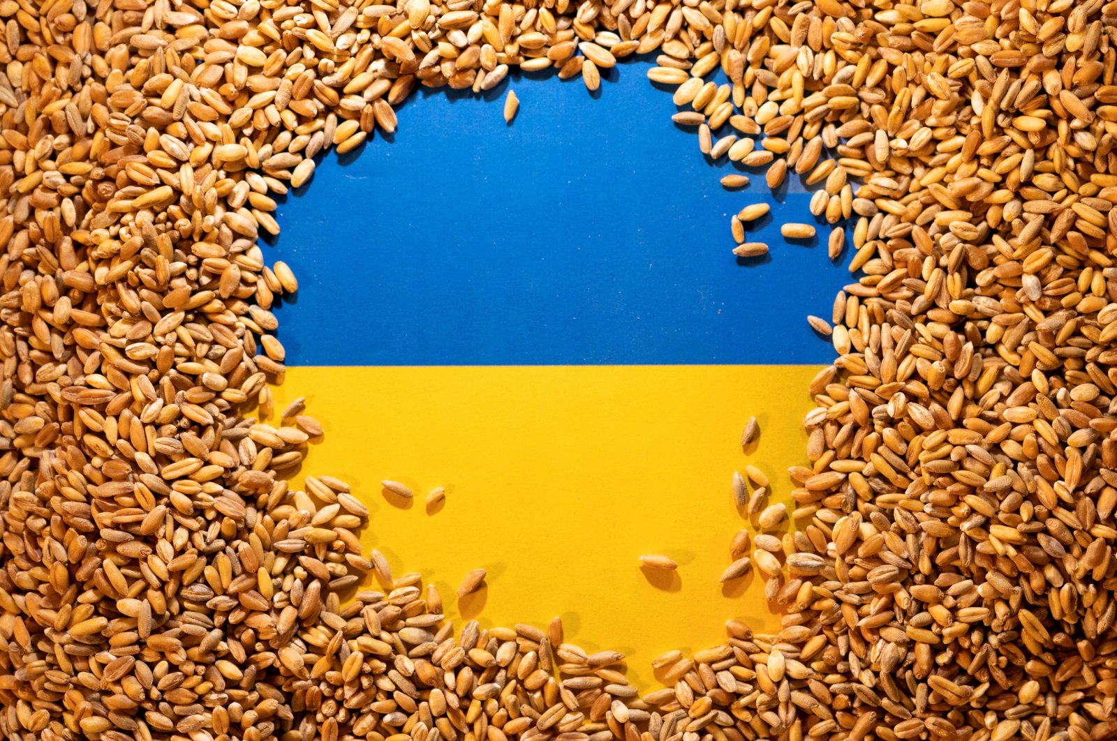 Ukrainian flag is covered with grains in this picture illustration taken May 9, 2022. (Reuters Photo)