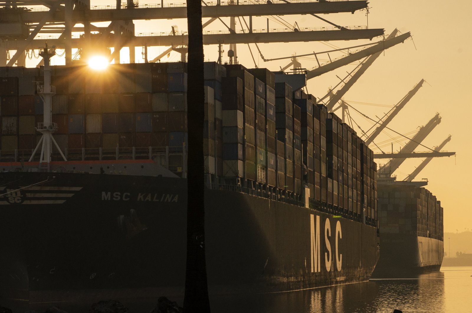 The MSC Kalina shipping container is moored at Maersk APM Terminals Pacific at the Port of Los Angeles, U.S., Nov. 30, 2021. (AP Photo)