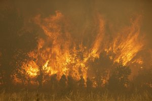 Firefighters work in front of flames during a wildfire in the Sierra de la Culebra in the Zamora Provence, Spain, June 18, 2022. (AP Photo)