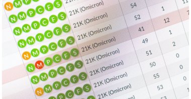 A PCR analysis monitor in a laboratory. Omicron infections, which form the largest part of coronavirus infections, are still likely even if you have "full vaccination" but not a booster, research shows. (DPA Photo)