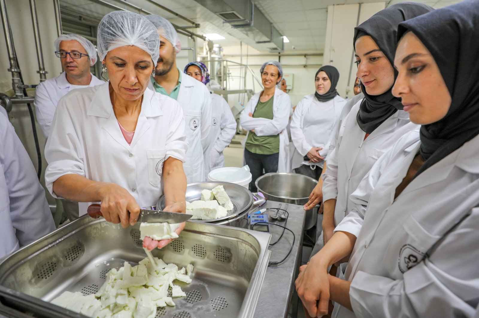 Women attend a cheese-making training in Diyarbakır, southeastern Turkey, June 20, 2022. (AA PHOTO)