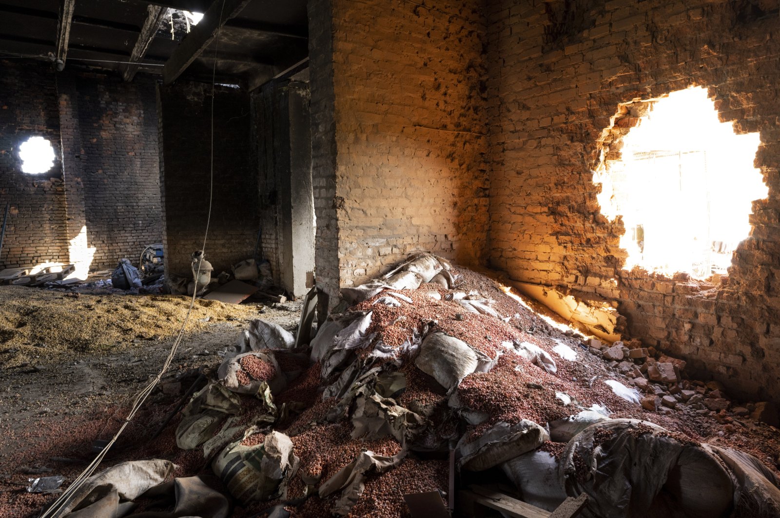 Scattered grain sits inside a warehouse damaged by Russian attacks in Cherkaska Lozova, outskirts of Kharkiv, eastern Ukraine, May 28, 2022. (AP Photo)