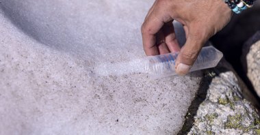 Alberto Amato, researcher in genetics at the Cell and Plant Physiology Laboratory at CEA, takes a sample of Sanguina nivaloides algae, also known as "snow blood," at the Brevent in Chamonix, France, June 14, 2022. (Reuters Photo)