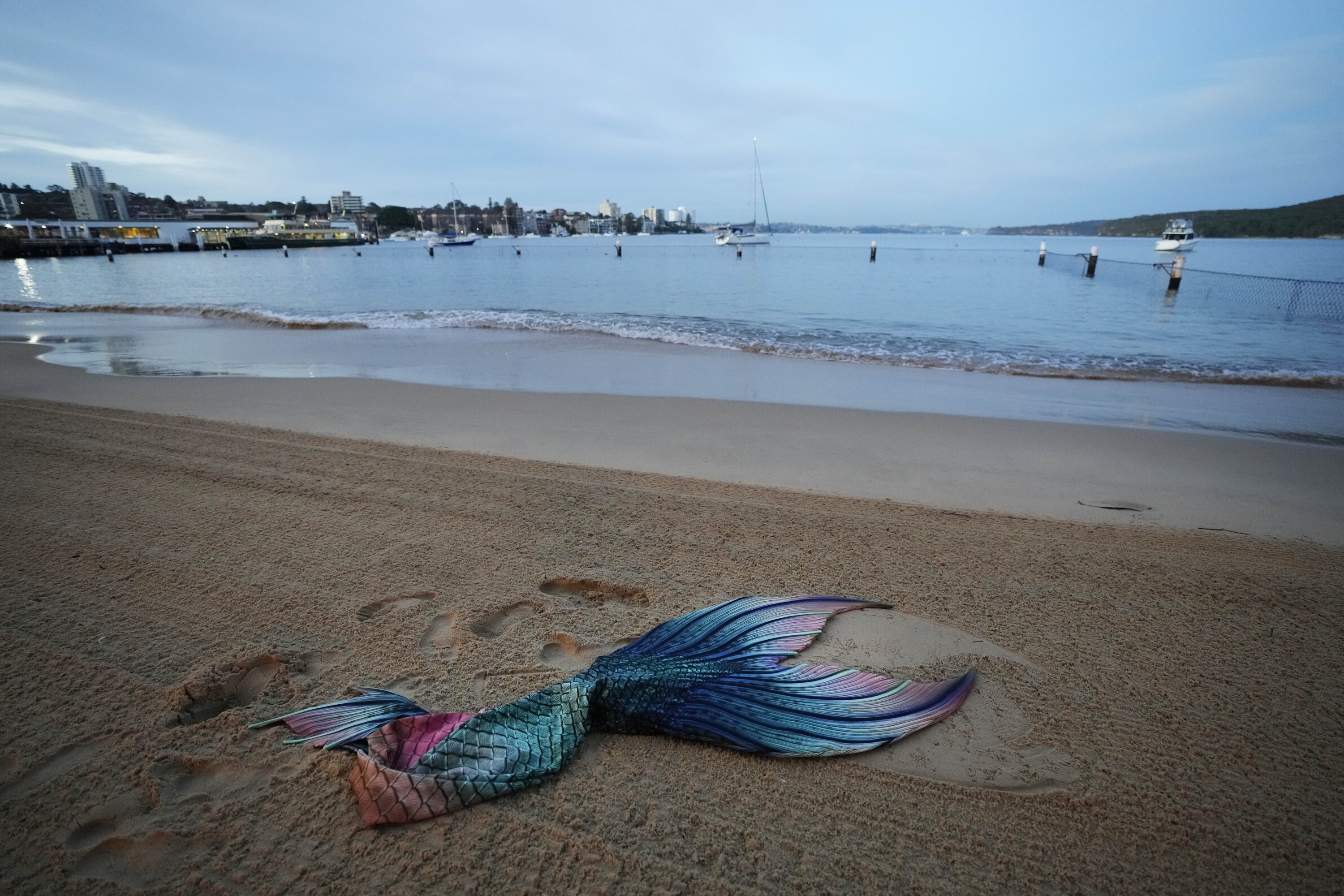 Ekor Lauren Metzler, pendiri Sydney Mermaids, tergeletak di pasir saat bersiap untuk berenang pagi hari di Manly Cove Beach di Sydney, Australia, Kamis, 26 Mei 2022. (AP Photo)