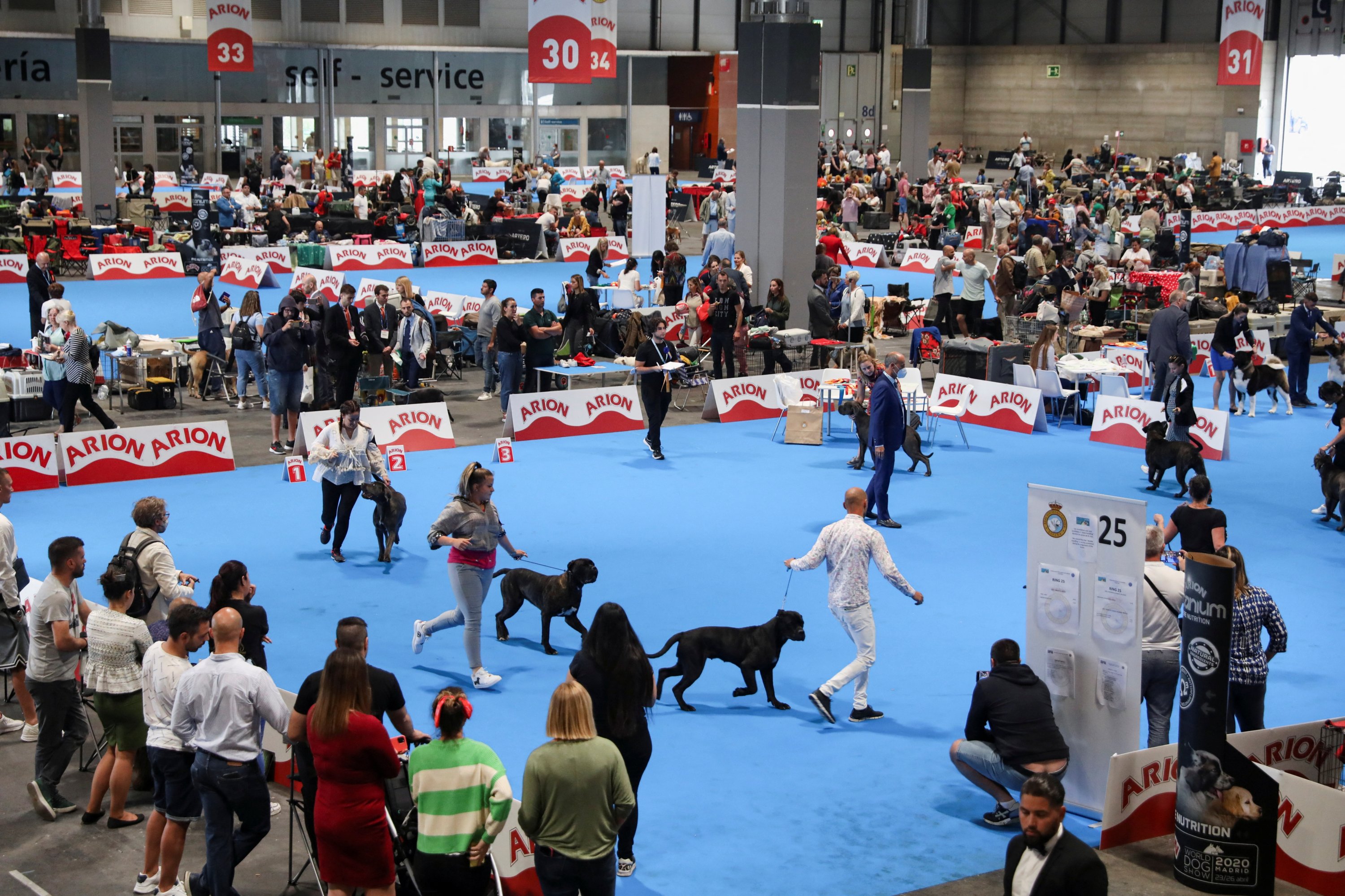 Pemilik anjing berkompetisi di World Dog Show 2022, di mana lebih dari 15.000 anjing dari seluruh dunia diharapkan hadir, di pusat konferensi IFEMA di Madrid, Spanyol, 23 Juni 2022. (Foto REUTERS)