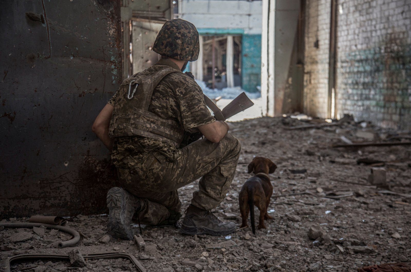 A Ukrainian service member with a dog observes in the industrial area of the city of Severodonetsk, Ukraine, June 20, 2022. (Reuters Photo)