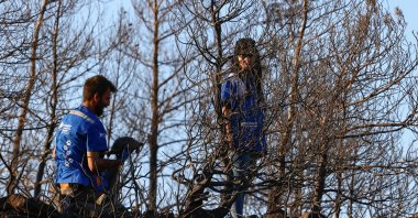 HAYTAP Aydın representative Mehmet Gürhan Tığoğlu (L) and Petek Nur Sezer (R) from the HAYTAP team said that the volunteers made great efforts to reach the animals that managed to survive in the wildfires, Marmaris, Turkey, June 25, 2022. (AA Photo)