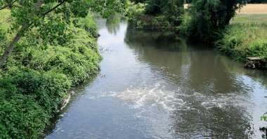 A view of the polluted Riva Stream in Istanbul, Turkey, June 26, 2022. (AA Photo)