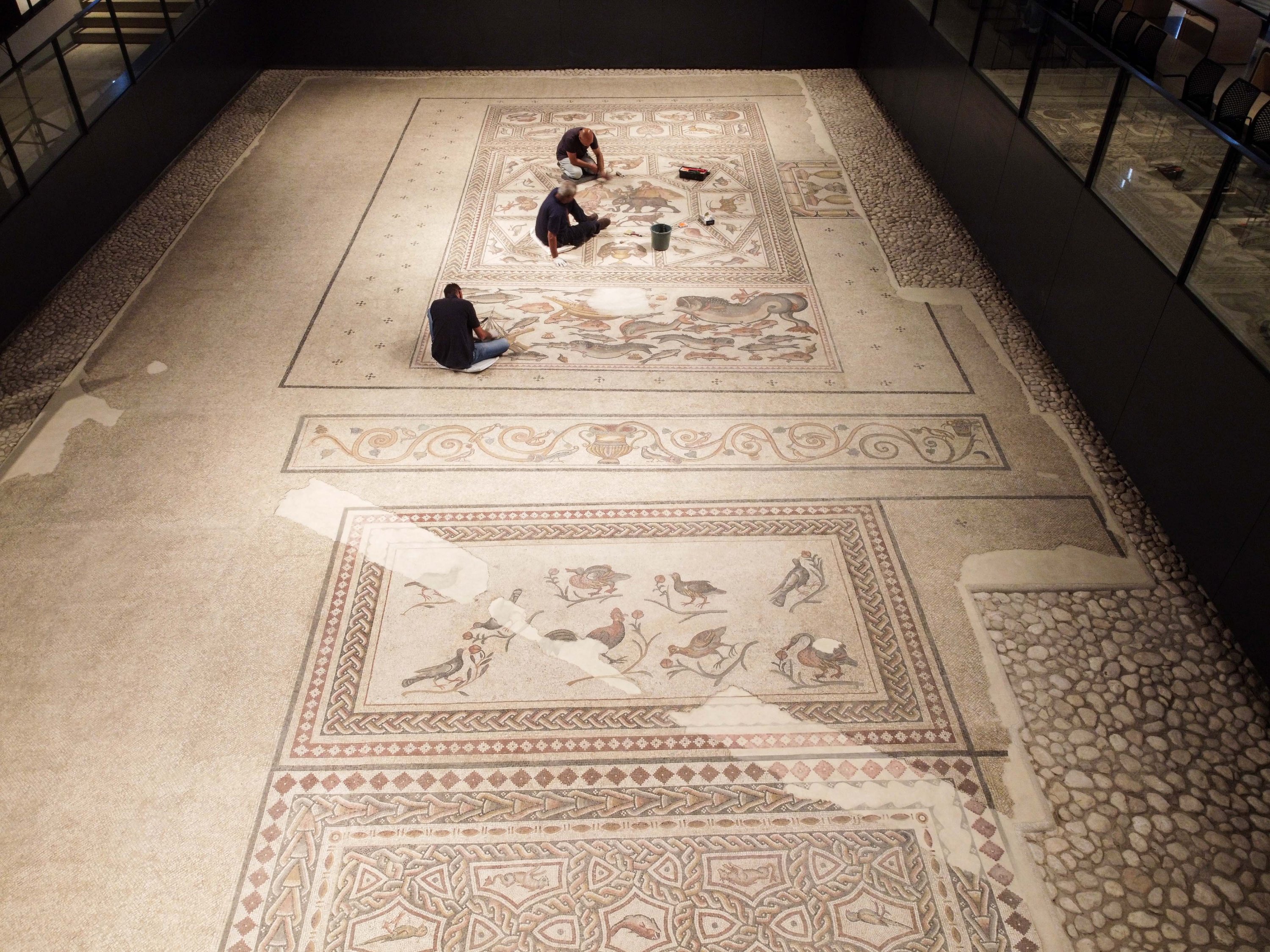 Unique mosaics exhibited at Lod Mosaic Archaeological Center in  Israel-Xinhua